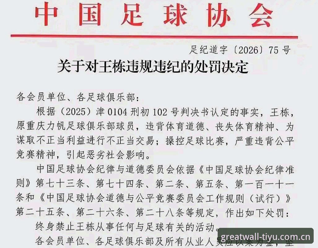 中国足协第三批禁足名单解读教程——从行业震荡看足球生态重塑